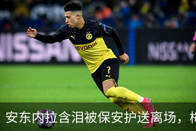 安东内拉含泪被保安护送离场，梅西世界杯决赛再碎